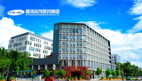 數字化轉型新動力 昆明與項城網站建設與新媒體運營深度解析